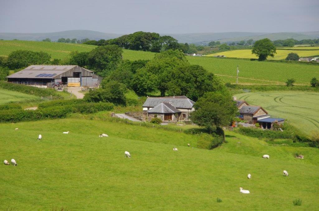 Jacks Cottage Totnes Eksteriør bilde